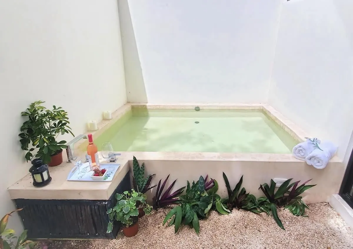 Tulum Private Jungle Cool Pool At Dk Tulum Dk 500 Mbps Wi-Fi 3 Bikes King Bed Apartment