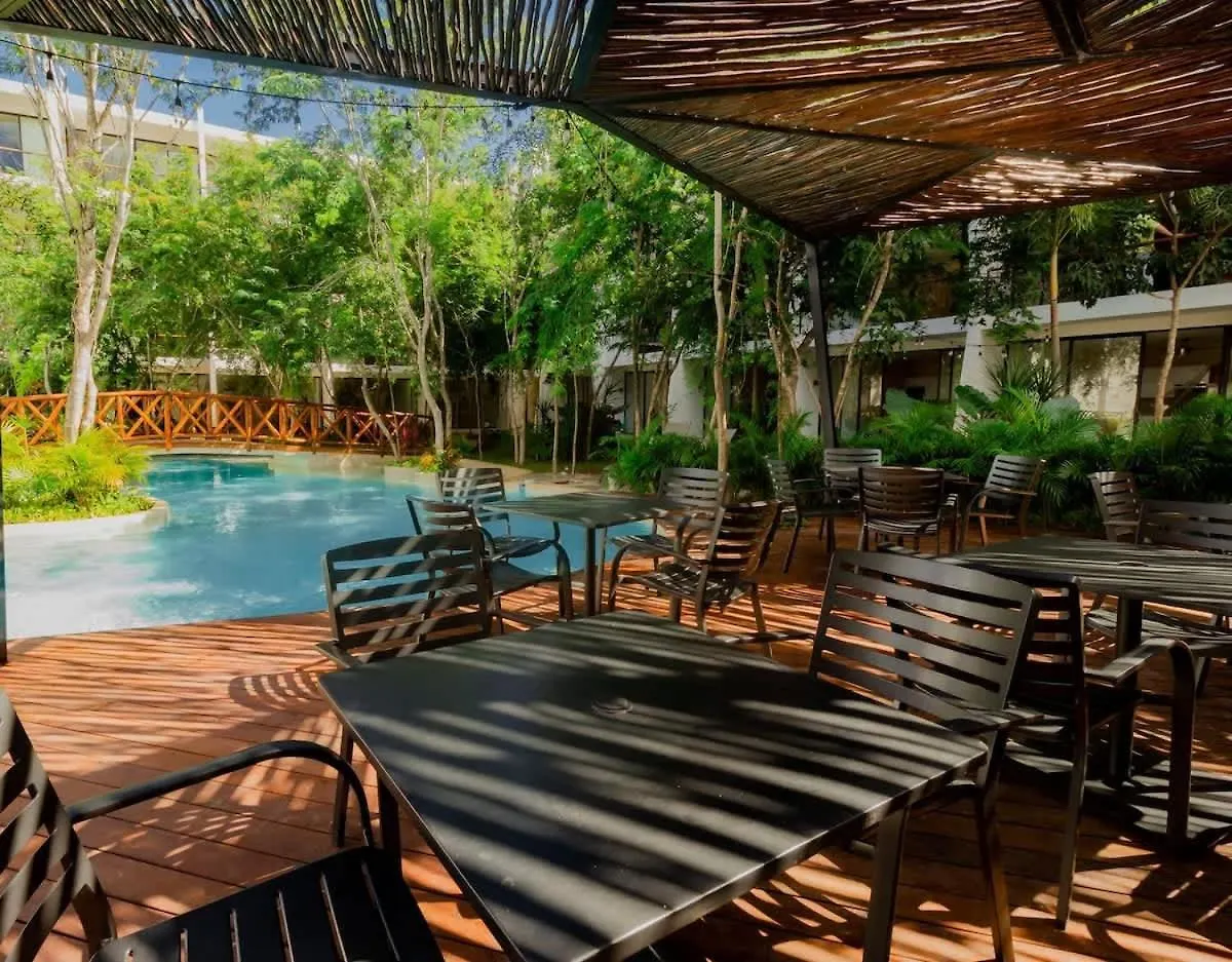 Tulum Private Jungle Cool Pool At Dk Tulum Dk 500 Mbps Wi-Fi 3 Bikes King Bed Apartment 0*,  Mexico